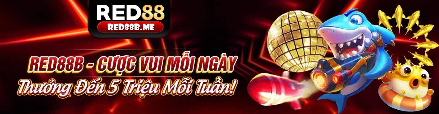 Giao diện ứng dụng 66b link mới trên điện thoại